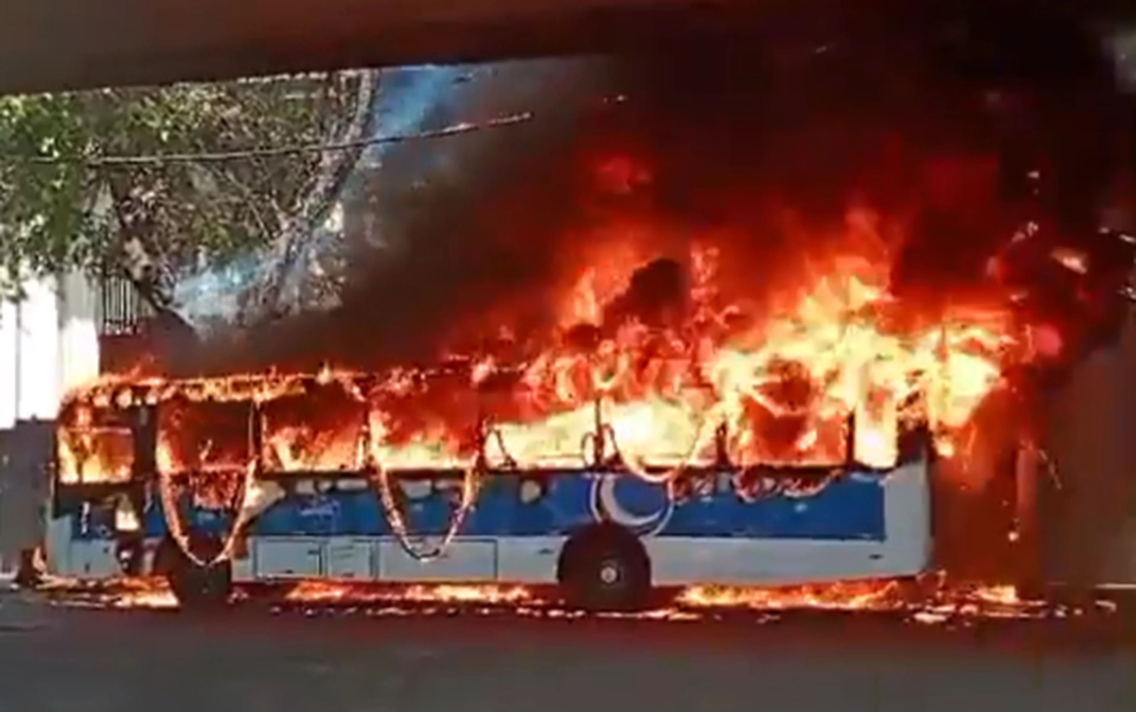 Captura de tela / Reprodução/Redes sociais