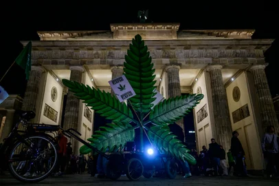 A giant fake marijuana plant is placed in front of Berlin's Brandenburg Gate on March 31, 2024 during an event marking the April 1, 2024 implementation in Germany of a law allowing adults to carry up to 25 grams of dried cannabis and grow up to three marijuana plants at home. (Photo by John MACDOUGALL / AFP)<!-- NICAID(15721799) -->