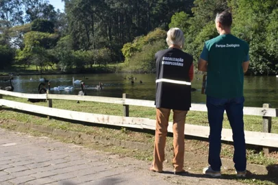 Foco de gripe aviária no Zoológico de Sapucaia do Sul é encerrado após 14 dias sem mortes de aves<!-- NICAID(16076043) -->