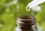 o Fundo sedia evento de plantas bioativas e homeopatia; saiba como se inscrever