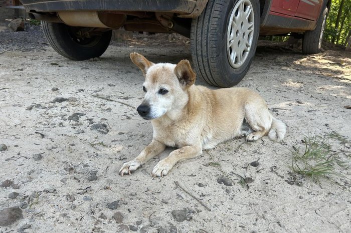 Érika Polesello / RBS TV