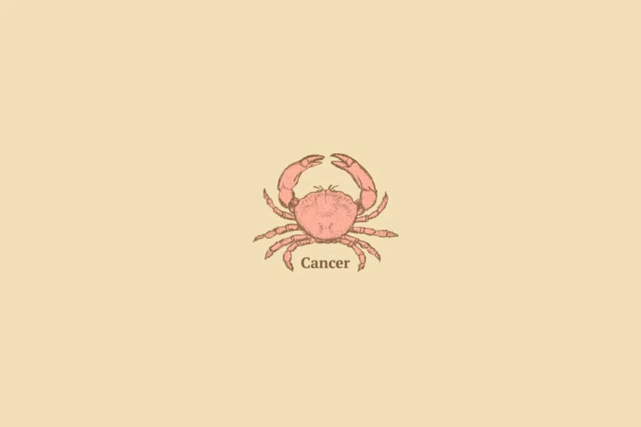 Ka_Li/Shutterstock | Portal EdiCase