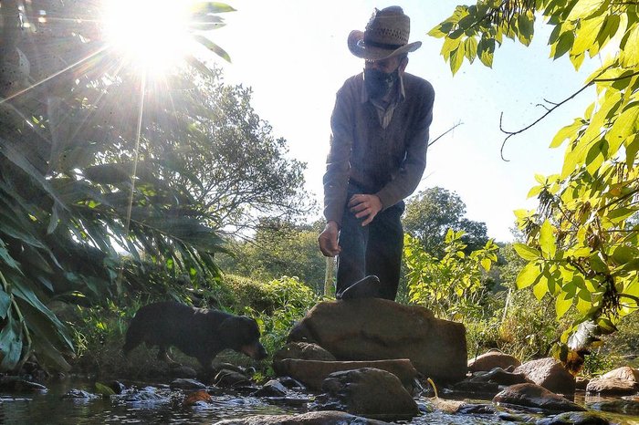 Lauro Alves / Agencia RBS