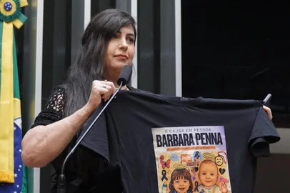 Barbara Penna na Câmara dos Deputados em Brasília. Foto: Barbara Penna / Arquivo Pessoal<!-- NICAID(16267239) -->