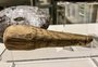 Pilão, amuleto ou brinquedo sexual? Artefato romano do século 2 intriga arqueólogos