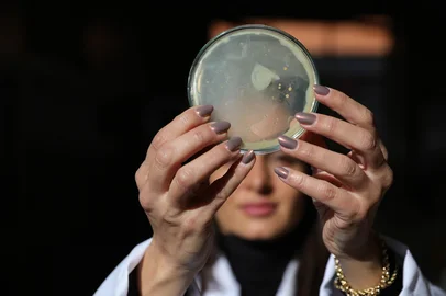 Porto Alegre, RS, Brasil - Bioeconomia na área da saúde. Projetos de pesquisa em desenvolvimento nessa área, como desenvolvimento de diagnósticos e tratamentos em oncologia de precisão e de tratamento de água para consumo humano. Laboratório da UERGS. Na foto Bárbara Clasen, coordenadora de Pesquisa da UERGS e bolsista de produtividade em pesquisa do CNPq.Indexador: jeff botega<!-- NICAID(16056258) -->
