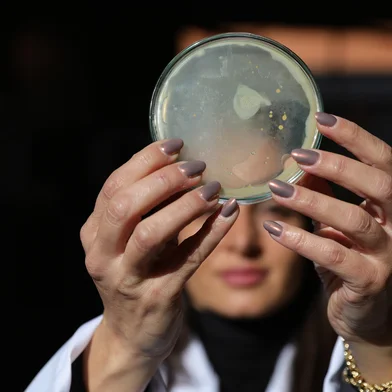 Porto Alegre, RS, Brasil - Bioeconomia na área da saúde. Projetos de pesquisa em desenvolvimento nessa área, como desenvolvimento de diagnósticos e tratamentos em oncologia de precisão e de tratamento de água para consumo humano. Laboratório da UERGS. Na foto Bárbara Clasen, coordenadora de Pesquisa da UERGS e bolsista de produtividade em pesquisa do CNPq.Indexador: jeff botega<!-- NICAID(16056258) -->