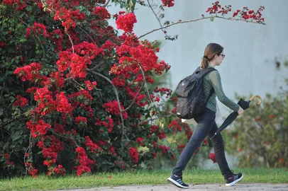 SANTA MARIA , RS , BRASIL , 22/09/2015Chegada da Primavera em Santa Maria FOTO JEAN PIMENTEL / AGÊNCIA RBS , GERAL<!-- NICAID(11703678) -->