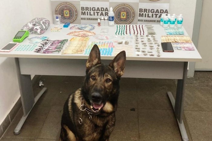 Brigada Militar / Divulgação