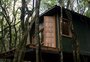 Coworking no "meio do mato": cabana no interior de Caxias do Sul será escritório rural
