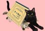 Como a literatura japonesa com gatos tem conquistado leitores pelo mundo