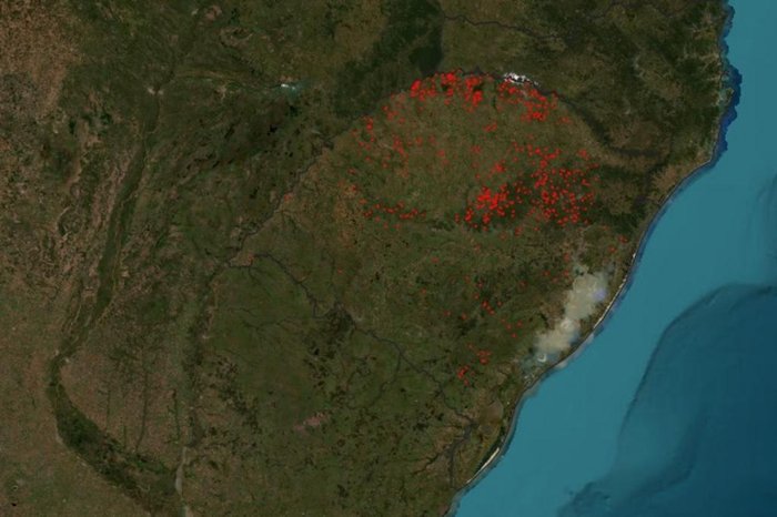 MapBiomas / Reprodução MapBiomas / Reprodução