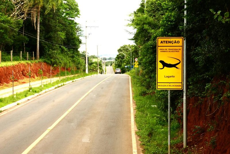 Placas de trânsito buscam proteger animais silvestres<!-- NICAID(15620252) -->