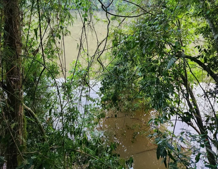 Corpo de Bombeiros / Divulgação