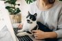 Young woman using laptop and cute cat sitting on keyboard. Faithful friend. Casual girl working on laptop with her cat, sitting together in modern room with pillows and plants. Home office.Fonte: 334812449<!-- NICAID(15613984) -->