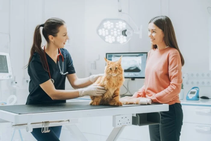 Gorodenkoff / Shutterstock | Portal EdiCase Gorodenkoff / Shutterstock | Portal EdiCase