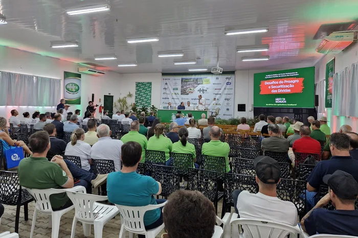 Guilherme Pech / Divulgação