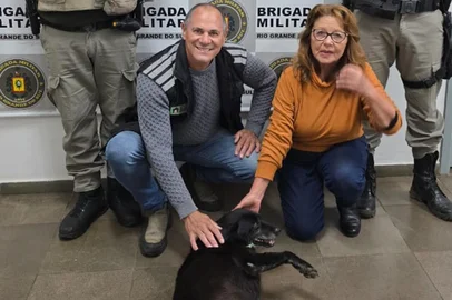 Cão Negão é encontrado e levado de volta para Vacaria <!-- NICAID(16026144) -->