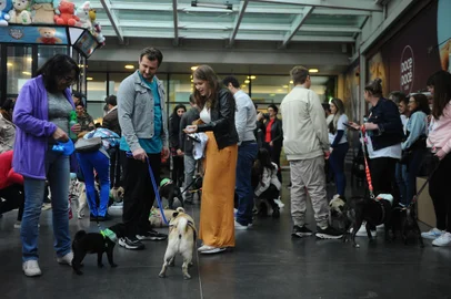 CAXIAS DO SUL, RS, BRASIL, 28/04/2024. Encontro de cães da raça Pug, no Shopping Villagio, em Caxias do Sul. (Bruno Todeschini/Agência RBS)Indexador: BTK<!-- NICAID(15747151) -->