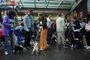 CAXIAS DO SUL, RS, BRASIL, 28/04/2024. Encontro de cães da raça Pug, no Shopping Villagio, em Caxias do Sul. (Bruno Todeschini/Agência RBS)Indexador: BTK<!-- NICAID(15747151) -->