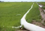 Licenciamento para a irrigação em lavouras de arroz segue valendo no RS 