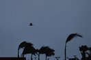 PORTO ALEGRE, RS, BRASIL, 13/07/2023- Passagem do ciclone extratropical pelo estado. Na foto, Pontal. Foto: Lauro Alves  / Agencia RBS<!-- NICAID(15481190) -->