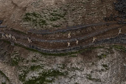 Workers are seen carrying sacks full of guano on Isla Santa, located in the province of Chimbote, department of Ancash in northern Peru on October 3, 2025. Derived from seabird excrement, guano enriched Peru in the 19th century. This natural fertilizer, which is still collected under difficult conditions, now only benefits small farmers. On Santa Island, north of Lima, a hundred workers between the ages of 20 and 60 extract guano that has accumulated over decades from dawn onwards. (Photo by Ernesto BENAVIDES / AFP)Editoria: FINLocal: ChimboteIndexador: ERNESTO BENAVIDESSecao: economy (general)Fonte: AFPFotógrafo: STF<!-- NICAID(16143684) -->