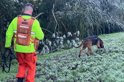 Corpo de Bombeiros faz buscas por homem desaparecido há quatro dias em São João da Urtiga<!-- NICAID(16037482) -->