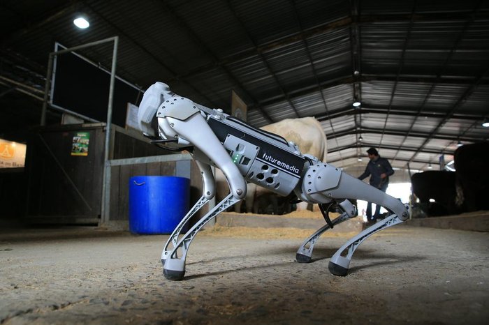 Técnico da Futuremedia afirma que a principal aplicação do cão-robô é no auxílio a deficientes visuais