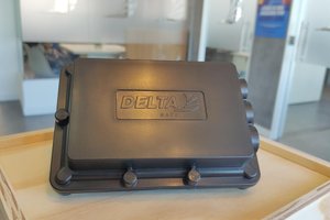 Delta Global / Divulgação