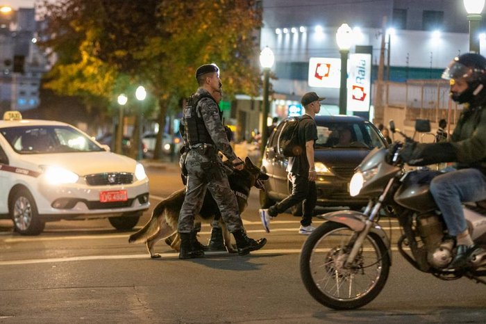 Os policiais militares têm especialização em áreas essenciais, como cinofilia, cinotecnia e treinamento de cães de guerra