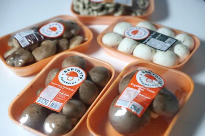 PORTO ALEGRE, RS, BRASIL, 23-09-2025: Cogumelos de diferentes tipos para o Consumidor Verde, da Giane Guerra. Foto: Jonathan Heckler/Agência RBS<!-- NICAID(16131176) -->