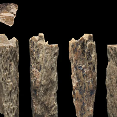This handout picture taken on June 14, 2015 and obtained from the University of Oxford/Max Planck Institute on August 22, 2018 shows a bone fragment of 'Denisova 11', evidence of interbreeding of a Neanderthal and a Denisovan, found in 2012 by Russian archaeologists at Denisova Cave in the Altai Mountains of Siberia. - The Denisovan is a distinct species of primitive human that roamed the Eurasian continent 50,000 years ago. On August 22, 2018 scientists reported in the journal Nature that they have found evidence of a direct, first-generation offspring of interbreeding between different hominin, or early human groups - the mother a Neanderthal, the father a Denisovan. (Photo by Ian Cartwright / University of Oxford / AFP) / RESTRICTED TO EDITORIAL USE - MANDATORY CREDIT "AFP PHOTO / UNIVERSITY OF OXFORD /  MAX PLANCK INSTITUTE / IAN R. CARTWRIGHT" - NO MARKETING NO ADVERTISING CAMPAIGNS - DISTRIBUTED AS A SERVICE TO CLIENTSEditoria: ACELocal: DenisovaIndexador: IAN CARTWRIGHTSecao: human scienceFonte: University of OxfordFotógrafo: Handout<!-- NICAID(15099343) -->