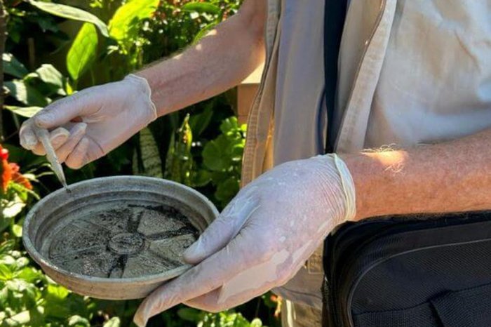 Prefeitura de Bento Gonçalves / Divulgação