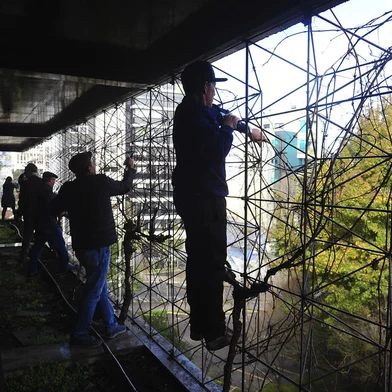 CAXIAS DO SUL, RS, BRASIL, 30/07/2022. A Comissão de Agricultura, Agroindústria, Pecuária e Cooperativismo (CAAPC) de Caxias organizou, neste sábado (30), uma aula prática de poda de parreira, na Câmara Municipal. O evento contou com a particupação de produtores de uva da cidade. (Bruno Todeschini/Agência RBS)<!-- NICAID(15162604) -->
