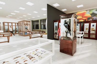Colégio Anchieta vai investir R$ 18 milhões em retrofit<!-- NICAID(16363166) -->