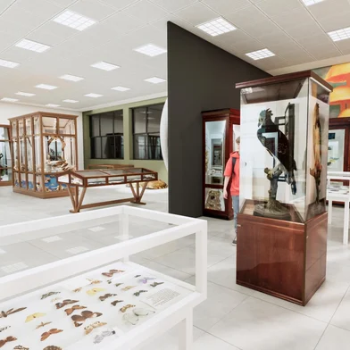 Colégio Anchieta vai investir R$ 18 milhões em retrofit<!-- NICAID(16363166) -->