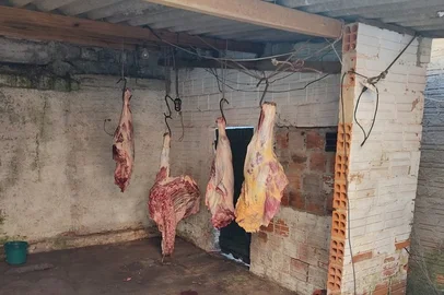Polícia flagra açougue clandestino cortando carne possivelmente oriunda de abigeato em Santa Maria. 21/07/2023.