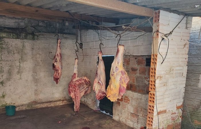 Polícia Civil / Divulgação