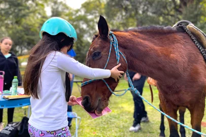 Equoterapia da UPF - Projeto de extensão usa cavalos para ajudar no desenvolvimento de jovens e adultos em autismo e paralisia cerebral. <!-- NICAID(16032722) -->