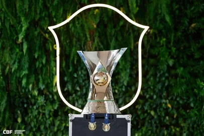 Rafael Ribeiro / CBF/Divulgação BRASILEIRÃO<!-- NICAID(16346429) -->