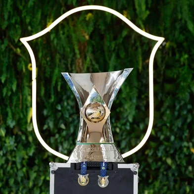 BRASILEIRÃO<!-- NICAID(16346429) -->