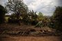 Colinas, RS, Brasil - 18/09/2023 - Produtores rurais calculam danos e perdas após enchente que atingiu o Vale do taquari<!-- NICAID(15544712) -->