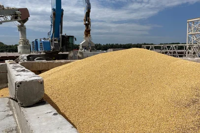 A pile of maize grains is seen on the pier at the Izmail Sea Port, Odesa region, on July 22, 2023. Russia said on July 21, 2023 that it understood the concerns African nations may have after Moscow left the Ukrainian grain deal, promising to ensure deliveries to countries in need. (Photo by STRINGER / AFP)<!-- NICAID(15491138) -->