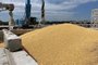 A pile of maize grains is seen on the pier at the Izmail Sea Port, Odesa region, on July 22, 2023. Russia said on July 21, 2023 that it understood the concerns African nations may have after Moscow left the Ukrainian grain deal, promising to ensure deliveries to countries in need. (Photo by STRINGER / AFP)<!-- NICAID(15491138) -->