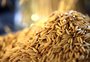 Leilão da Conab comercializa 83% do arroz ofertado e movimenta R$ 21 milhões