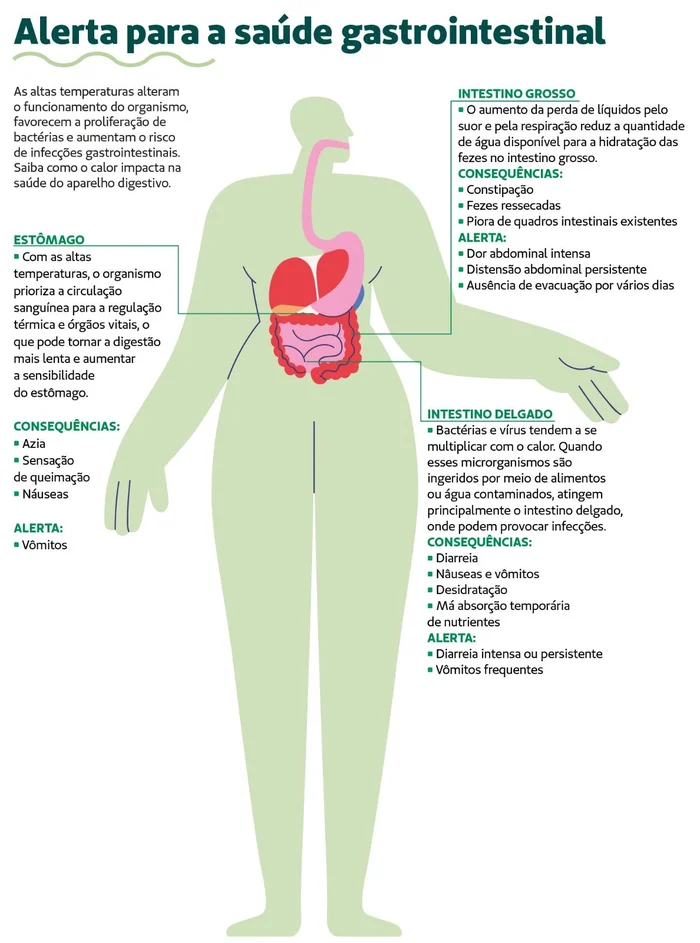 Andressa Costa / Conteúdo para Marcas