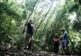 Para além da praia: trilha guiada pelo Horto Florestal do Litoral Norte é opção de passeio para veranistas