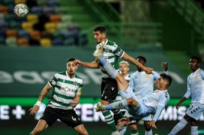 Feddal, Sporting