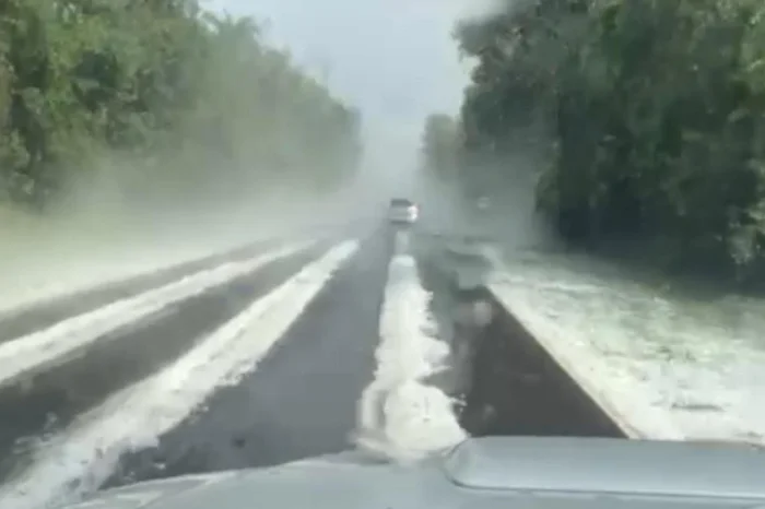 Arquivo pessoal / Divulgação